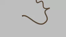 rope-render_002.webp