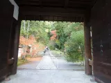 20191129_142925.webp