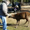 20191130_140020.webp